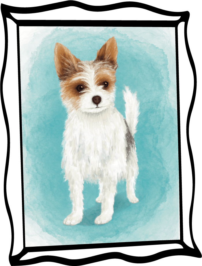 Illustration von Jenny Ohst